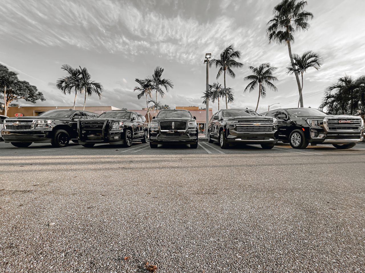 voncarlimo